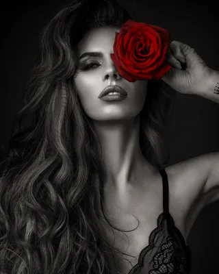 Фото Модель Alexandra Bronnih / Александра Бронных держит красную розу у  лица, фотограф Николаев Андрей