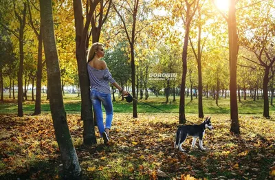 Обои на рабочий стол Девушка в джинсах с собакой породы хаски в осеннем  парке, фотограф Денис Доронин, обои для рабочего стола, скачать обои, обои  бесплатно