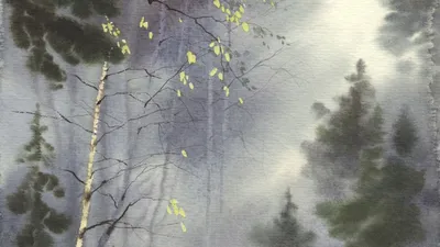 Дождливый туманный лес - 80 фото