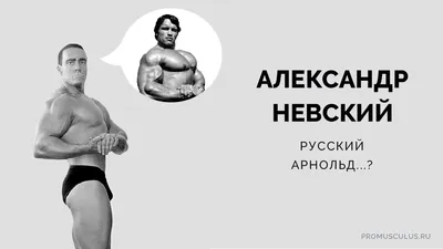 Бодибилдер Александр Невский: русский Арнольд против русской ненависти -  PROmusculus.ru