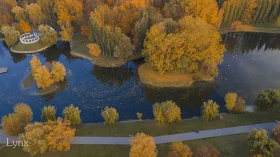 Осенний» полет над кобринским парком. Фотофакт с дрона Александра Новика