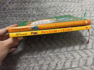 Книга Слово о полку Игореве - купить детской художественной литературы в  интернет-магазинах, цены в Москве на Мегамаркет |