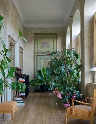 Как выглядит дом режиссера Луки Гуаданьино | Vogue UA