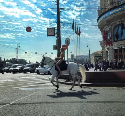 По центру Москвы проехала обнаженная девушка на белой лошади (4 фото) »  Невседома - жизнь полна развлечений, Прикольные картинки, Видео, Юмор,  Фотографии, Фото, Эротика. Развлекательный ресурс. Развлечение на каждый  день