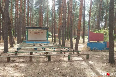 Забытый в сосновом лесу: показываем закрытый элитный детский лагерь под  Волгоградом - 5 августа 2020 - v1.ru