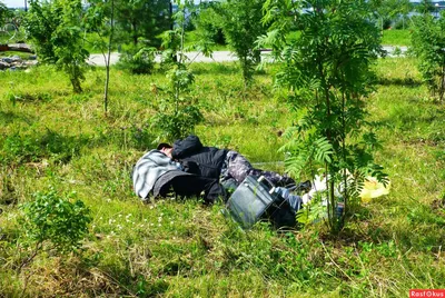 Фото: Вздремну-ка на ...свежем воздухе! (Из жизни нефтеюганских  безработных, алкашей и бомжей). Пейзажный фотограф ЛЕСНОЙ. Репортаж -  Фотосайт Расфокус.ру
