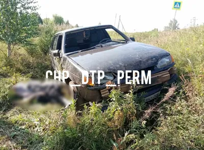 Пермь | В Прикамье двое алкашей разбились на сельской дороге - БезФормата