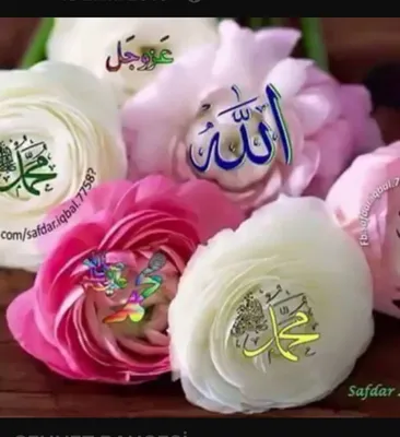 Аллах и цветок - фото и картинки: 67 штук