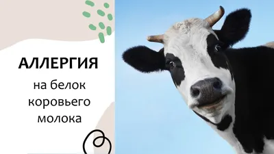 Чем заменить молочные продукты