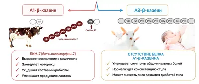 Парацельс - Аллергия на коровье молоко. 🐄 Аллергия на белок коровьего  молока (АБКМ) — наиболее распространенный вид аллергий у грудничков.  Характерный симптом этой аллергии — атопический дерматит (высыпания на лице  и теле