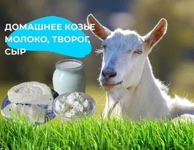 Аллергопроба Астана - ЧЕМ ЗАМЕНИТЬ МОЛОКО? 🥛 Существует несколько  безопасных заменителей коровьего молока: 🔹Миндальное молоко. Из сладкого  миндаля получается прекрасный заменитель коровьего молока. 🔹 Козье молоко.  При аллергии на молочный сахар ...