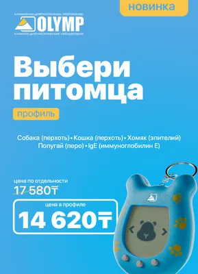 Продам попугая. У ребенка аллергия: 400 грн. - Птицы Харьков на Olx