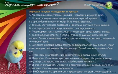 Новый профиль! \"Выбери питомца\" - диагностика аллергии на животных. |  Клинико-диагностические лаборатории \"ОЛИМП\"