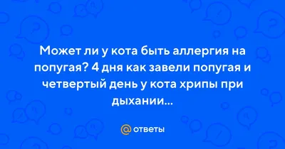 Ветеринар для птиц - орнитолог в Москве. Лечение попугаев