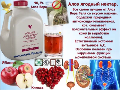 Картинки по запросу алоэ вера форевер | Forever living aloe vera, Forever  aloe, Aloe berry nectar