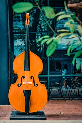 Музыкальный инструмент Ретро Музыкальный инструмент Искусство виолончели  Фотография с изображением Фон И картинка для бесплатной загрузки - Pngtree