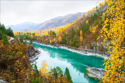 Стоит ли ехать на Алтай в сентябре? | Altai Travel Guide