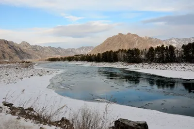 В декабре на Алтай, … сто тысяч второй отзыв про Горный Алтай или пятый про  него же зимой