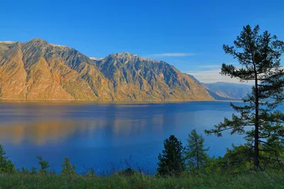 Удивительный Алтай – 7 самых красивых мест ¦ Magnitico.com