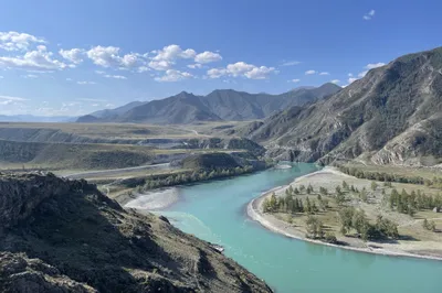 Степной и Горный Алтай (8 дней + авиа) - Экскурсионные туры на Алтай