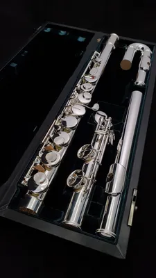 Флейта альтовая Altus Alto flute 921SE купить с доставкой по России