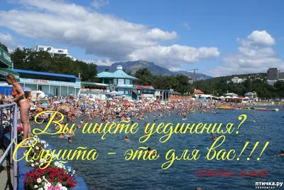 Алушта 2011 — обсуждение в группе \