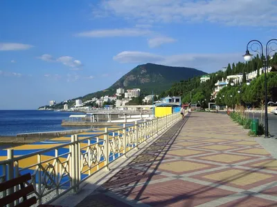 Алушта — курорт, где есть все - Рыжий кот - гостевой дом в Алуште