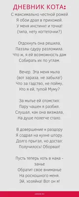 Настя Добрынина (akindinova09) - Profile | Pinterest