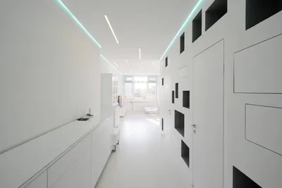 Необычный коридор в квартире: фото необычных и оригинальных дизайнов  коридора – цвета, обои, мебель | Houzz Россия