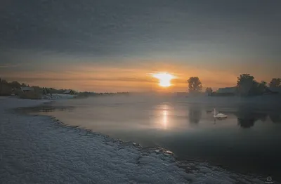 Обои на рабочий стол Лебедь на воде на фоне зимнего заката, фотограф  Анатолий Кудрявцев, обои для рабочего стола, скачать обои, обои бесплатно