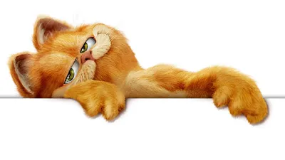 Про кота Гарфилда снимут серию мультфильмов - новости кино - 26 мая 2016 -  Кино-Театр.Ру