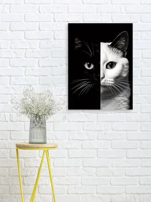 CustomDesign Картина на холсте 30 x 40 см кот