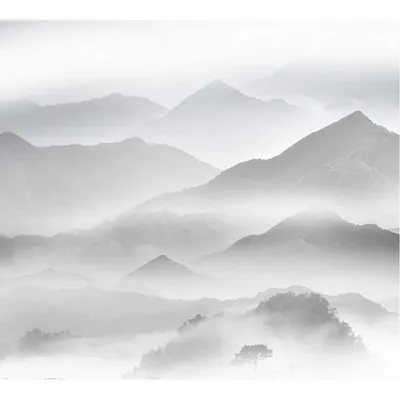Купить Горы в тумане чб Т-078, 300*270 см недорого в Маунтин-Вью
