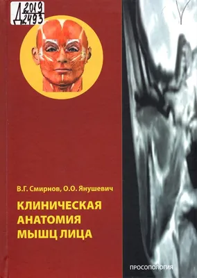 Функциональная анатомия мимических мышц лица для ботулинотерапии