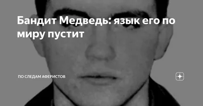 Бандит Медведь: язык его по миру пустит | По следам аферистов | Дзен