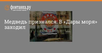 Медведь признался: В «Дары моря» заходил - 3 декабря 2009 - Фонтанка.Ру