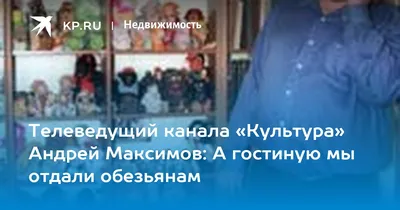 Телеведущий канала «Культура» Андрей Максимов: А гостиную мы отдали  обезьянам - KP.RU