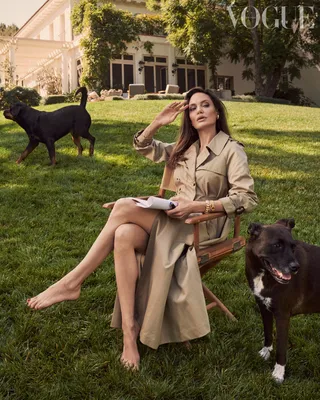 Жду 50-летия»: Анджелина Джоли снялась для Vogue. ФОТО