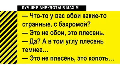 Лучшие анекдоты про ремонт | MAXIM