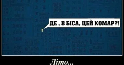 Анекдоты про лето - смешные шутки и приколы про пляж, купальники и отдых -  Телеграф