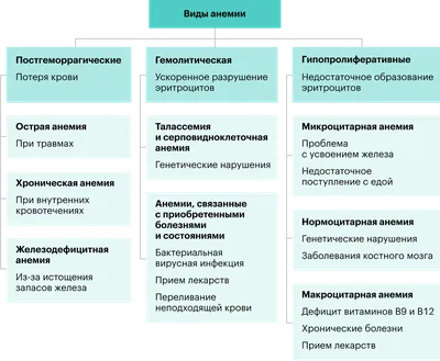 признаки анемии｜TikTok Search