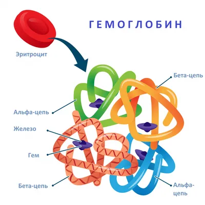 Анемия симптомы фото