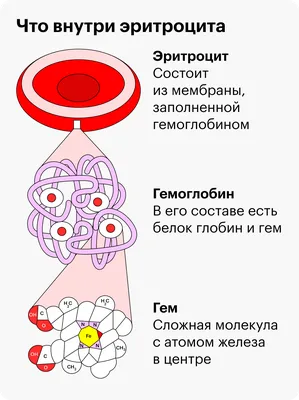 Анемия железодефицитная: симптомы, лечение, степени тяжести, причины,  классификация и диагностика малокровия