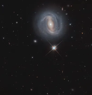 Фото дня: спиральная галактика с перемычкой анфас