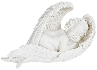 Купить ангел белый спящий в крыльях с доставкой