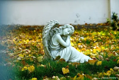 Осенний ангел - фото и картинки: 54 штук