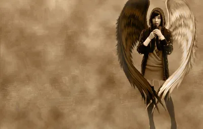 Крылья ангела и демона - 61 фото