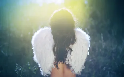 Крылья ангела обои - 31 фото