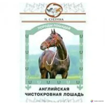 Английская чистокровная — Конный завод имени Первой Конной Армии