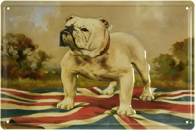 ᐉ Табличка металлическая Английский Бульдог/English Bulldog 20x30 см